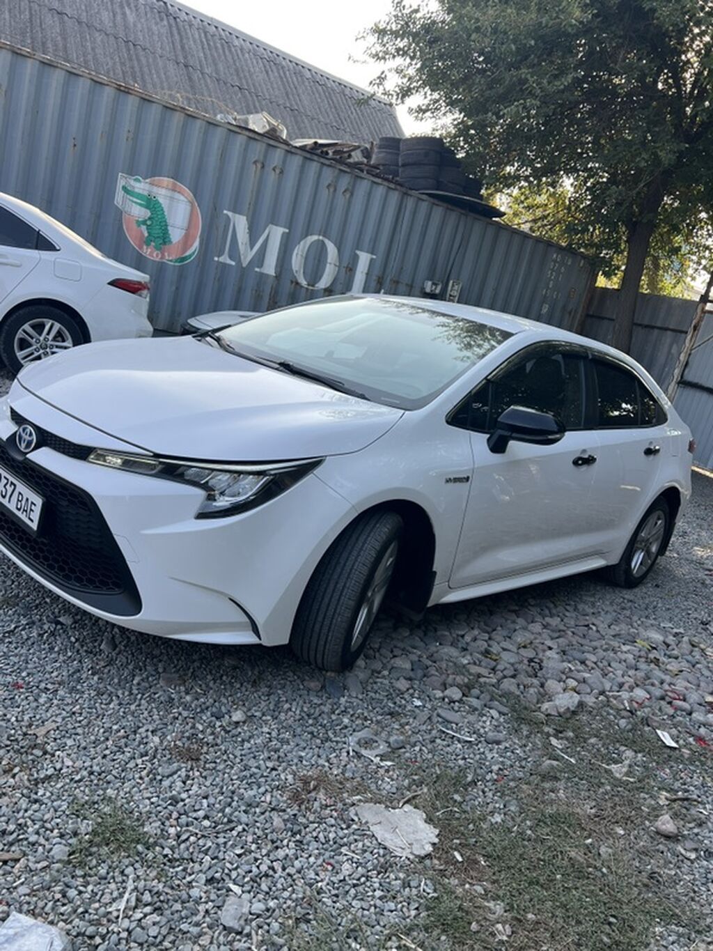 Toyota Levin: 2021 г., Гибрид, Седан: фото 2