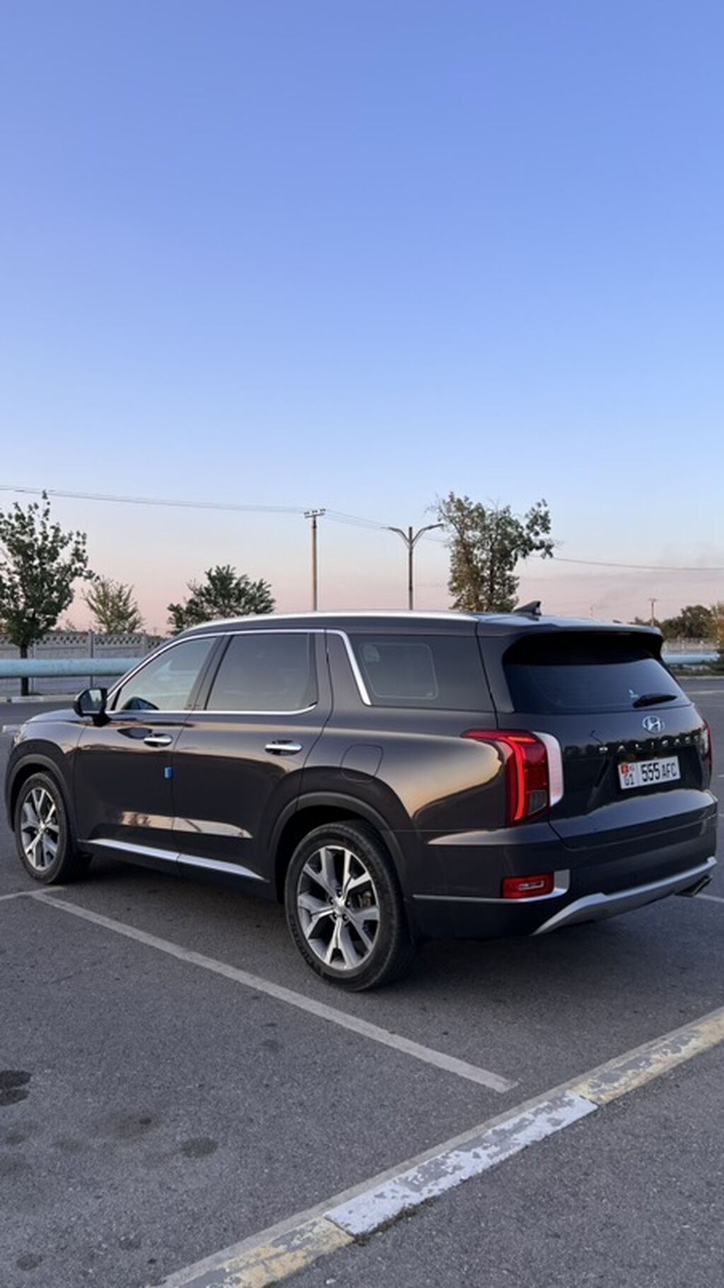 Hyundai Palisade: 2020 г., 2.2 л, Автомат, Дизель, Кроссовер: фото 3