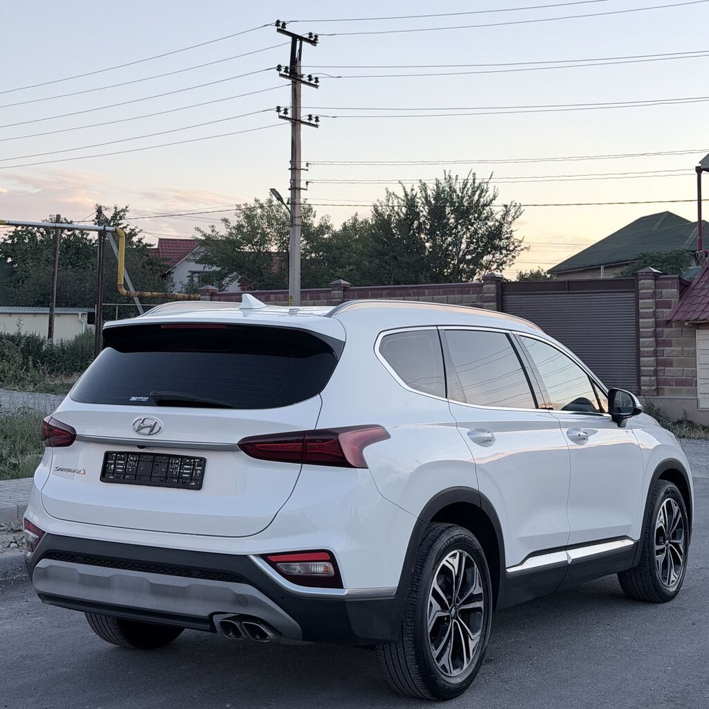 Hyundai Santa Fe: 2019 г., 2 л, Автомат, Дизель, Кроссовер — фото 3