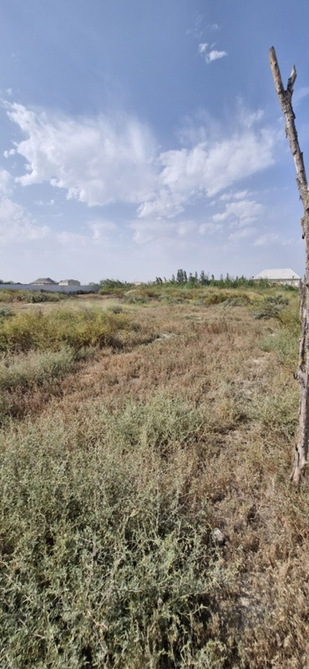 12 sot, Mülkiyyətçi, Bələdiyyə, Kupça (Çıxarış)