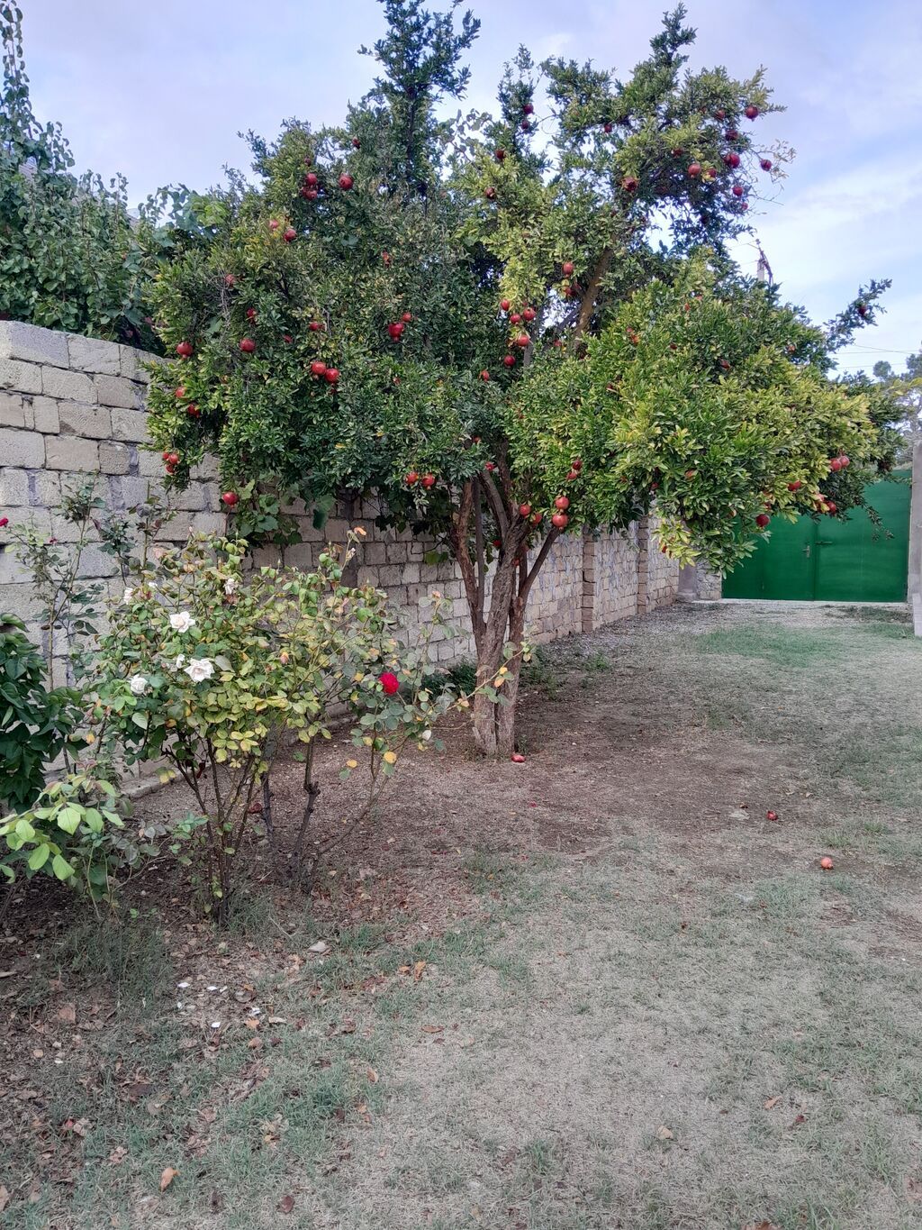 6 otaqlı, 175 kv. m, Kredit yoxdur, Orta təmir