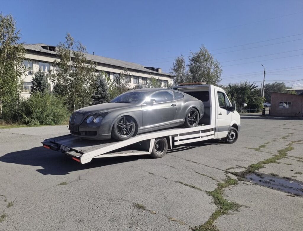 Mercedes-Benz Спринтер: 2010 г., 2.5 л, Механика, Дизель — фото 3