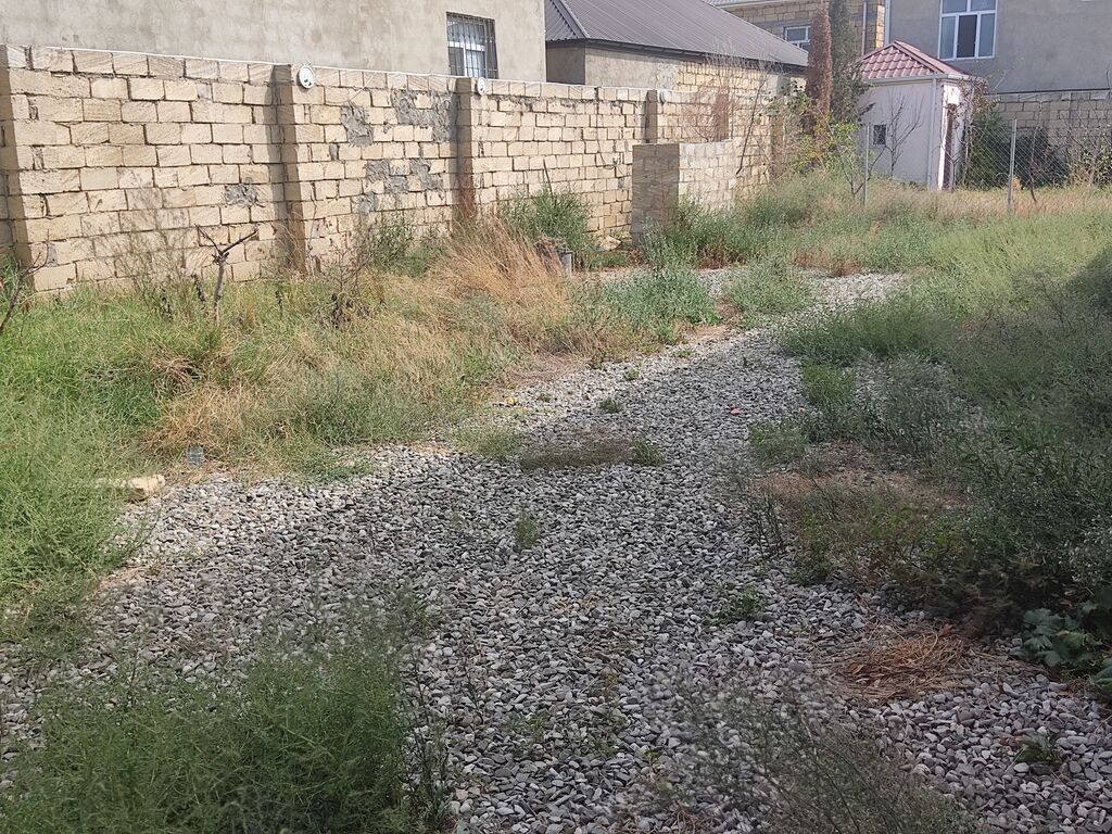 Tikinti, Kupça (Çıxarış)