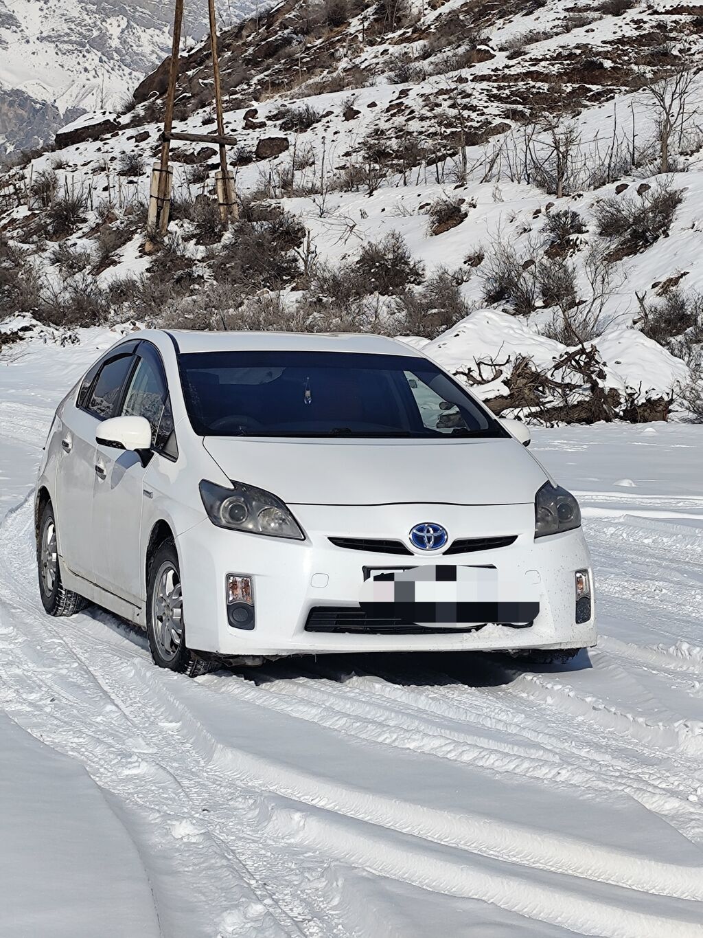 Toyota Prius: 2011 г., 1.8 л, Вариатор, Гибрид, Лифтбек: фото 1