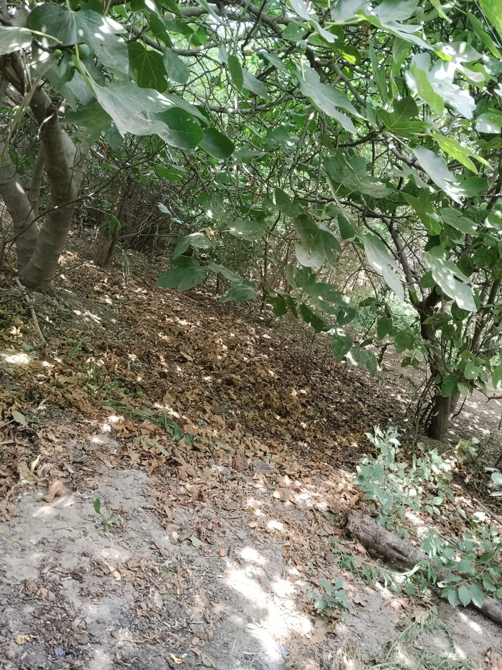 Ramana qəs. 3 otaqlı, 80 kv. m, Kredit yoxdur, Orta təmir