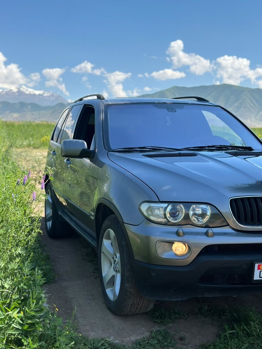 BMW X5: 2004 г., 3 л, Автомат, Дизель, Кроссовер: фото 1