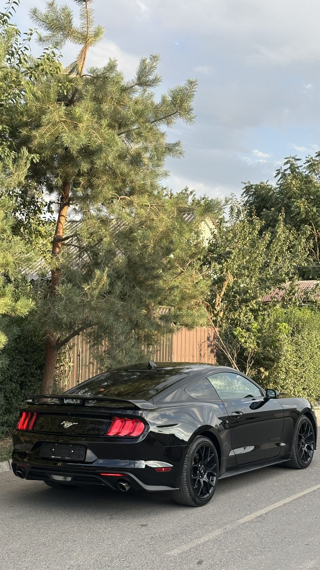 Ford Mustang: 2020 г., 2.3 л, Автомат, Бензин, Купе: фото 4