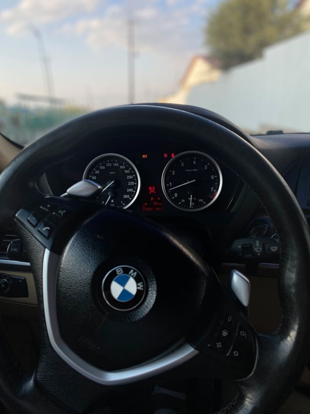 BMW X6: 2008 г., 3 л, Автомат, Бензин, Кроссовер: фото 7