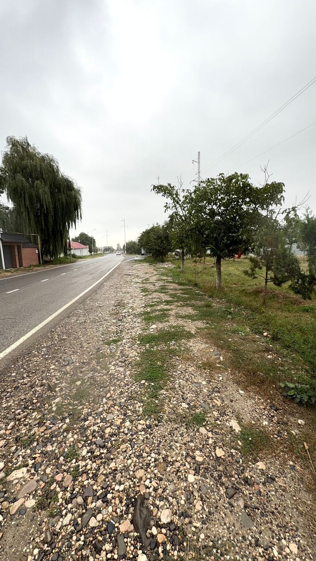 11 sot, Tikinti, Mülkiyyətçi, Kupça (Çıxarış)