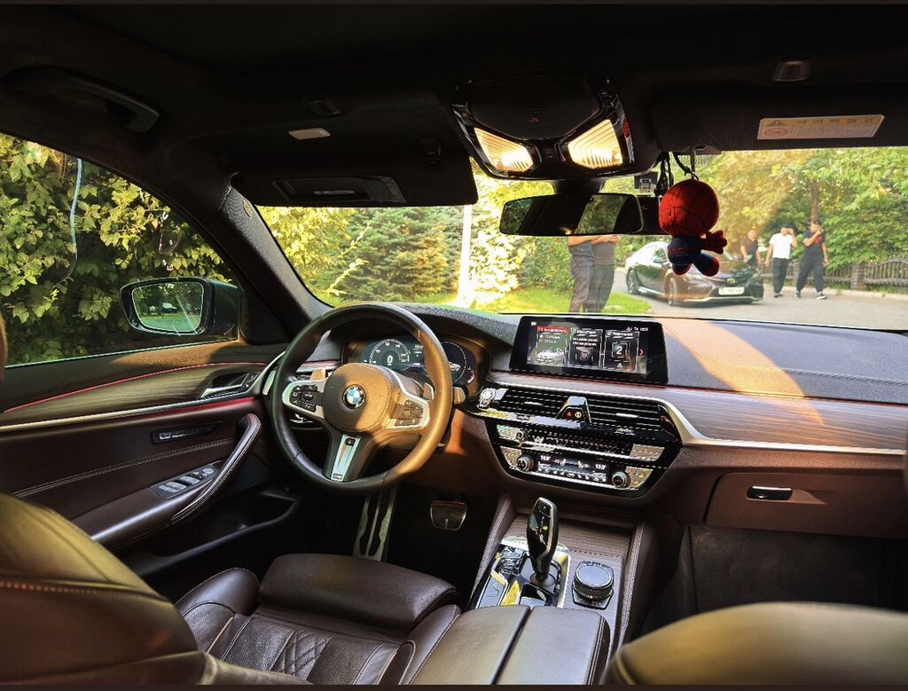 BMW 5 series: 2019 г., 2 л, Автомат, Бензин, Седан: фото 8