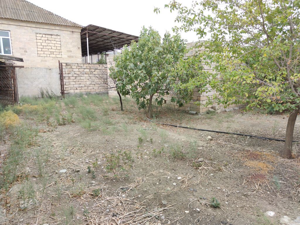 6 sot, Tikinti, Mülkiyyətçi, Kupça (Çıxarış)