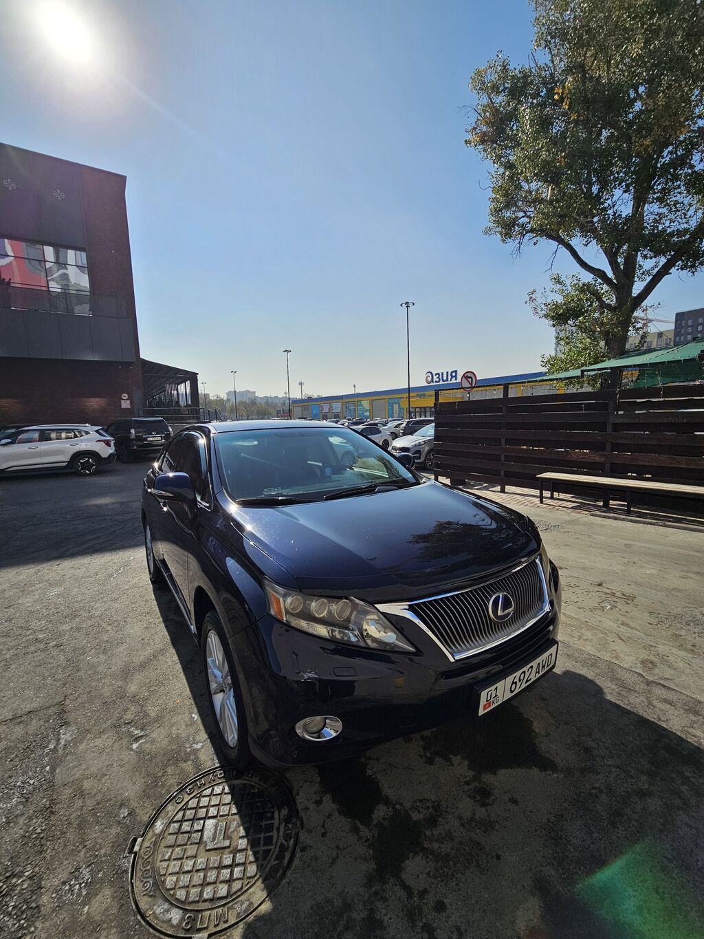 Lexus RX: 2011 г., 4.5 л, Автомат, Бензин, Кроссовер: фото 6
