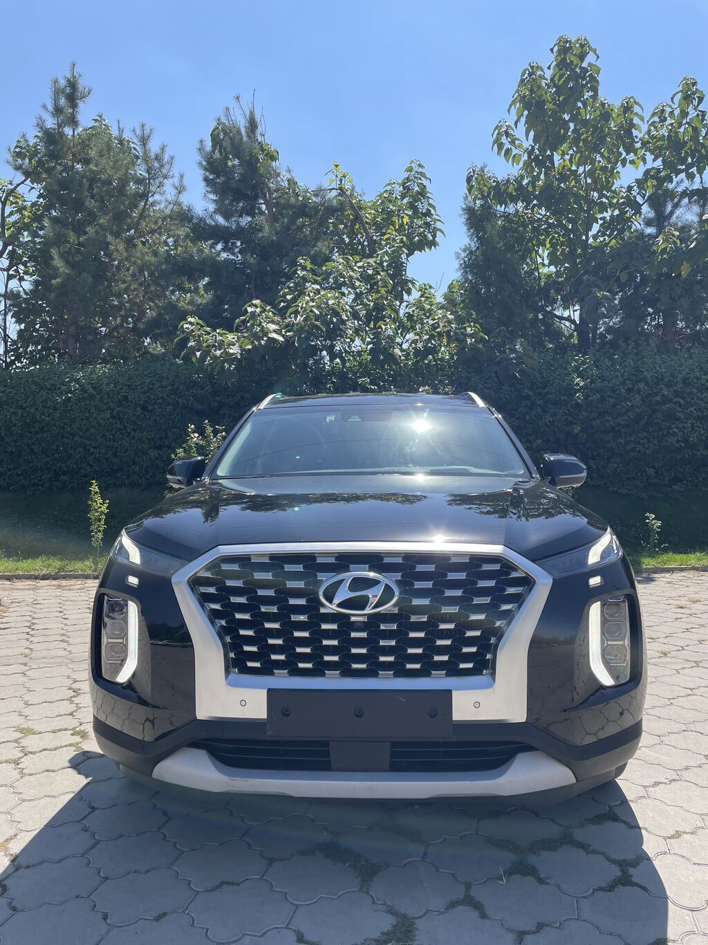 Hyundai Palisade: 2020 г., 2.2 л, Автомат, Дизель, Кроссовер: фото 3