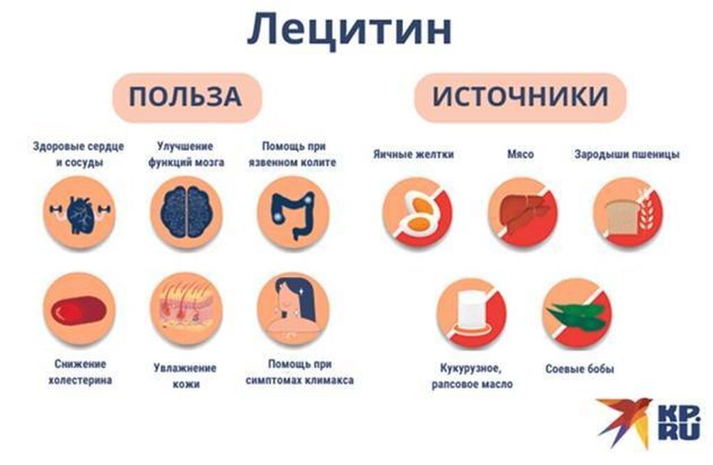 Лецитин в капсулах: 200 штук по 1000 мг Почему лецитин необходим: фото 2