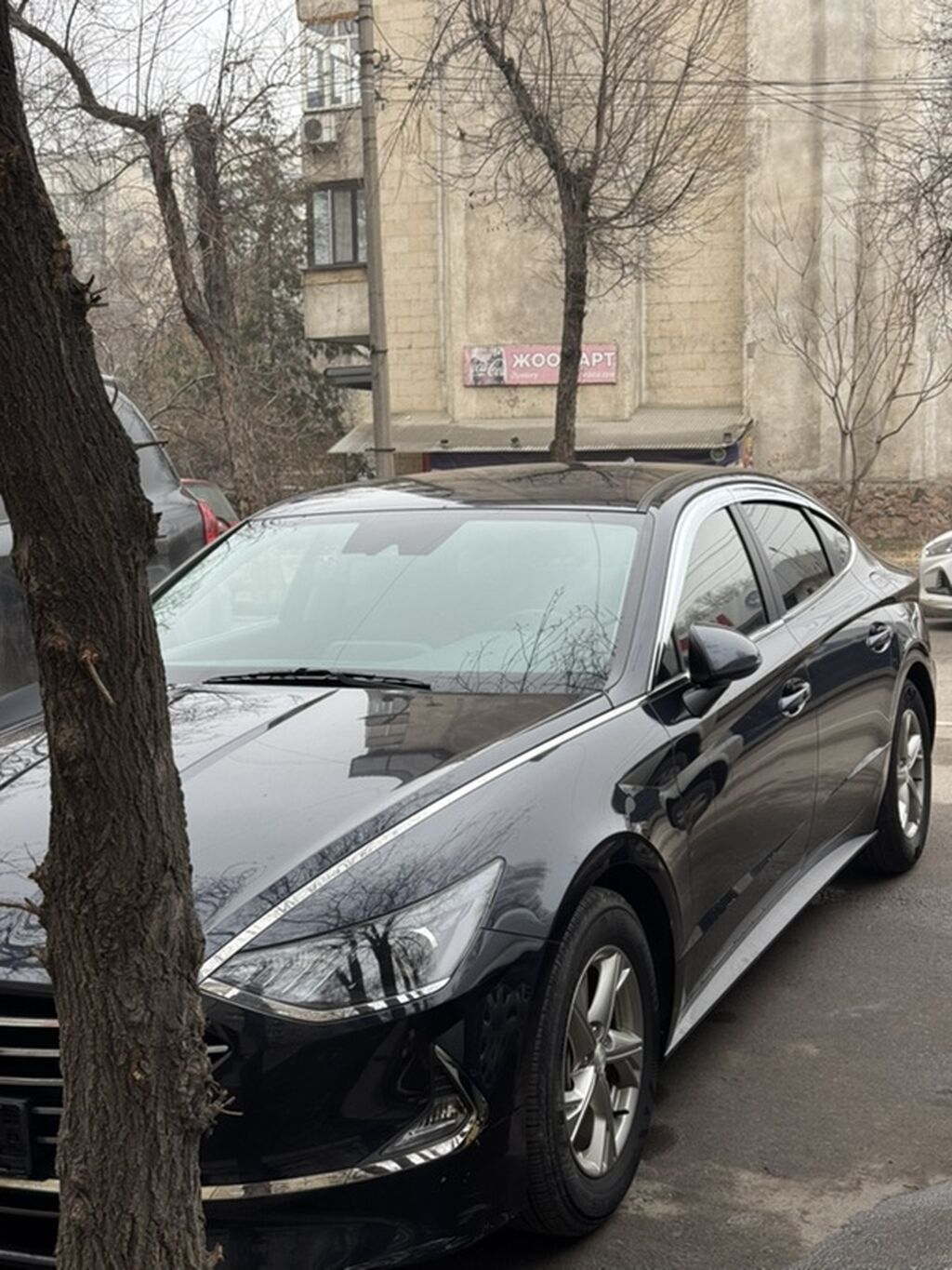 Hyundai Sonata: 2021 г., 2 л, Автомат, Газ, Седан: фото 3