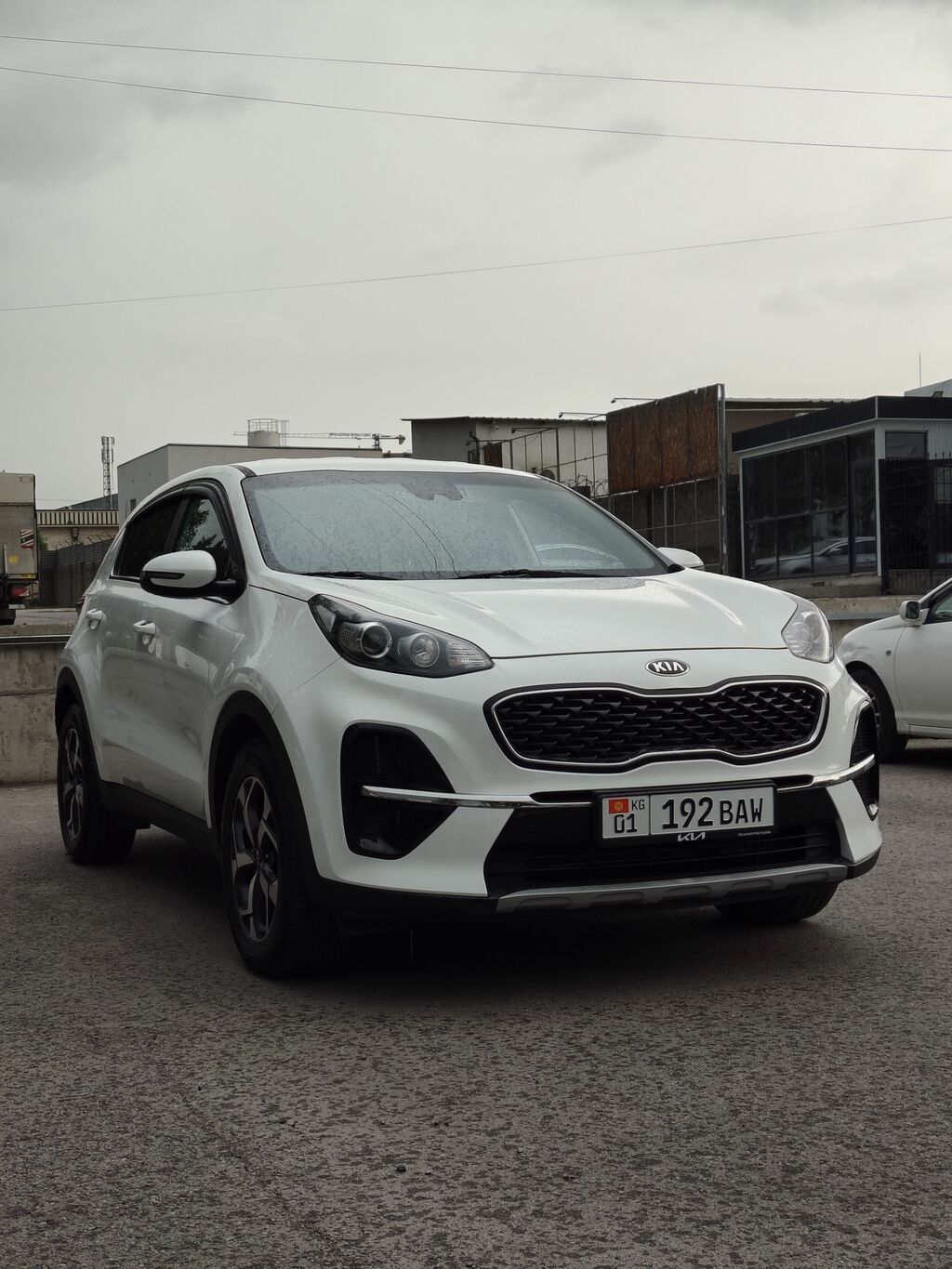Kia Sportage: 2019 г., 2 л, Автомат, Дизель, Кроссовер — фото 5