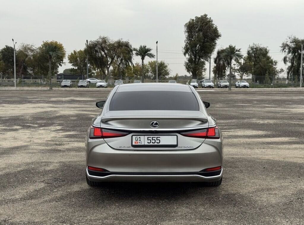 Lexus ES: 2019 г., 2.5 л, Автомат, Гибрид, Седан: фото 4