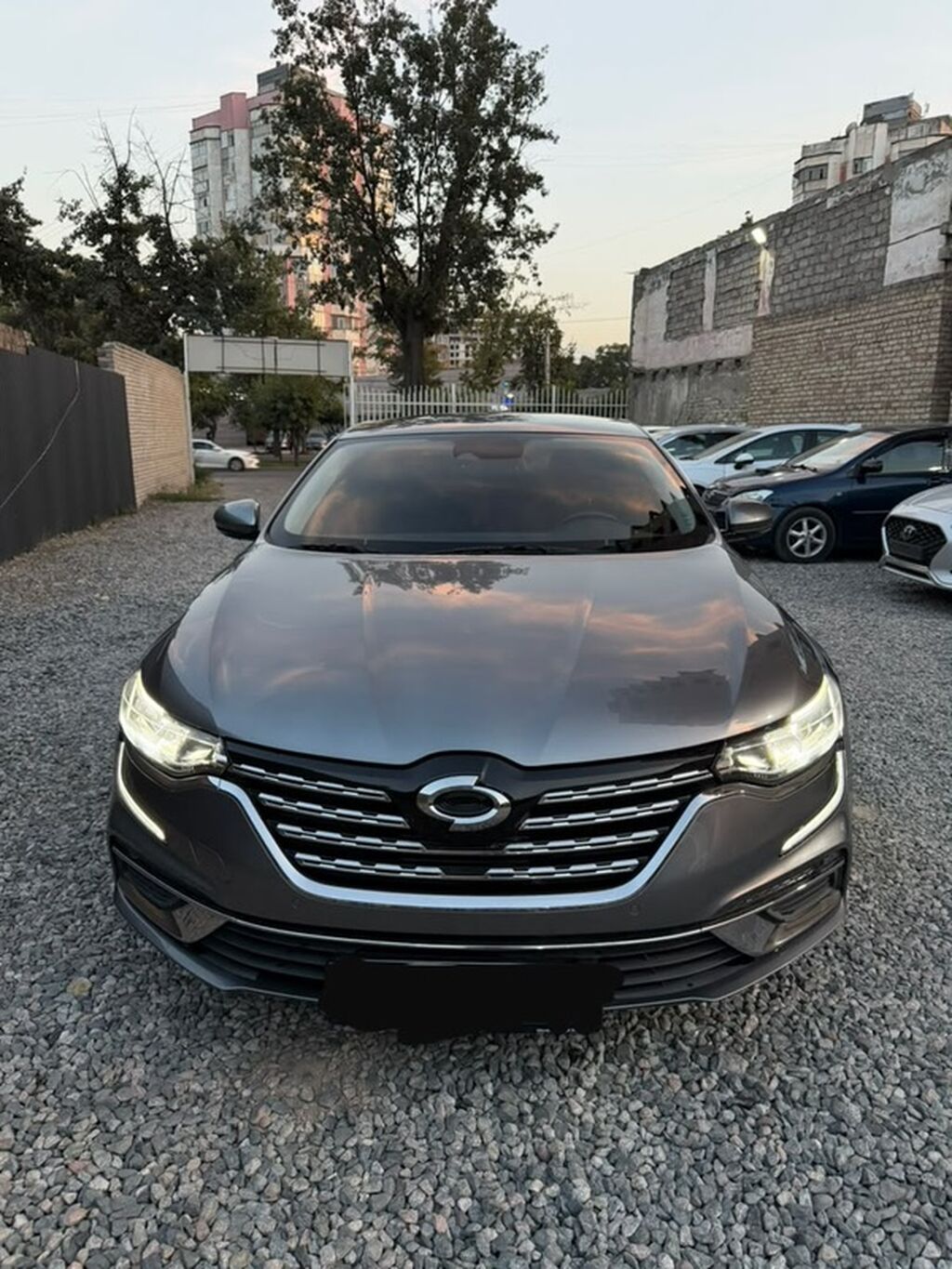 Renault Samsung SM6: 2022 г., 2 л, Автомат, Газ, Седан: фото 3