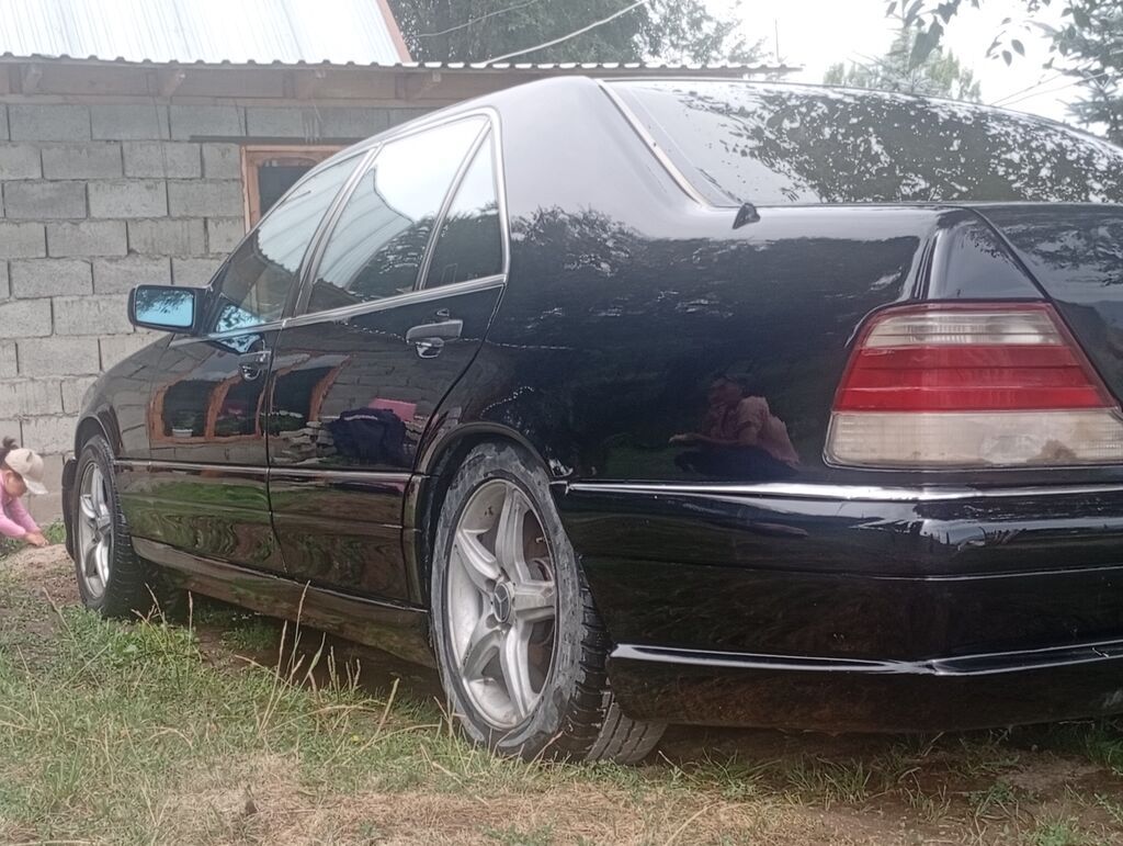 Mercedes-Benz S-Class: 1995 г., 5 л, Автомат, Газ, Седан: фото 8