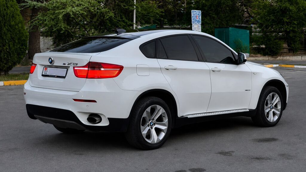 BMW X6: 2008 г., 3 л, Автомат, Бензин: фото 4