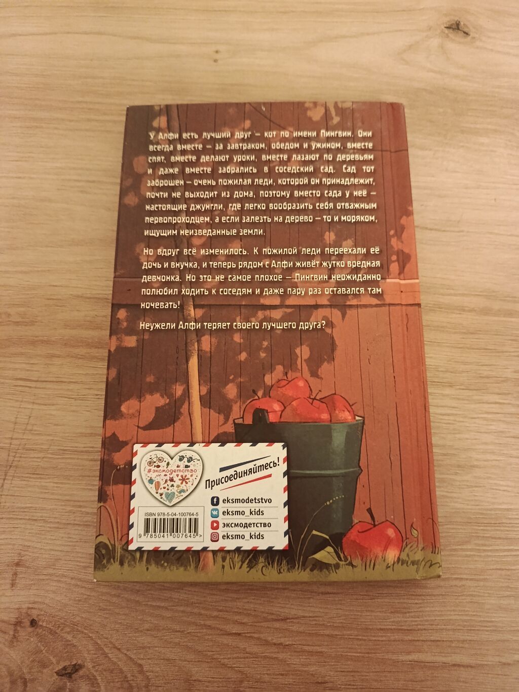 Детская книга Холли Вебб «Кот, мой лучший друг»: фото 2