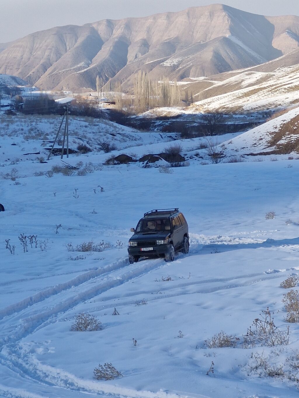 Isuzu Bighorn: 1995 г., 3 л, Автомат, Дизель, Внедорожник: фото 5