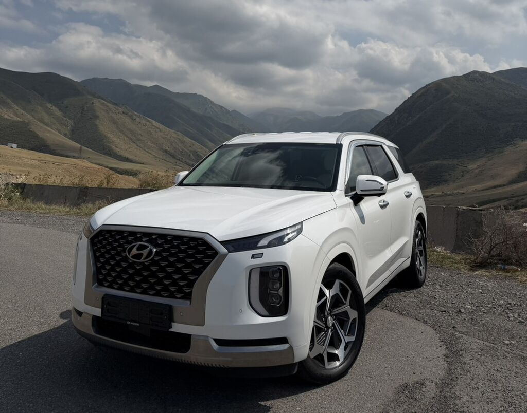 Hyundai Palisade: 2022 г., 2.2 л, Автомат, Дизель, Кроссовер: фото 1