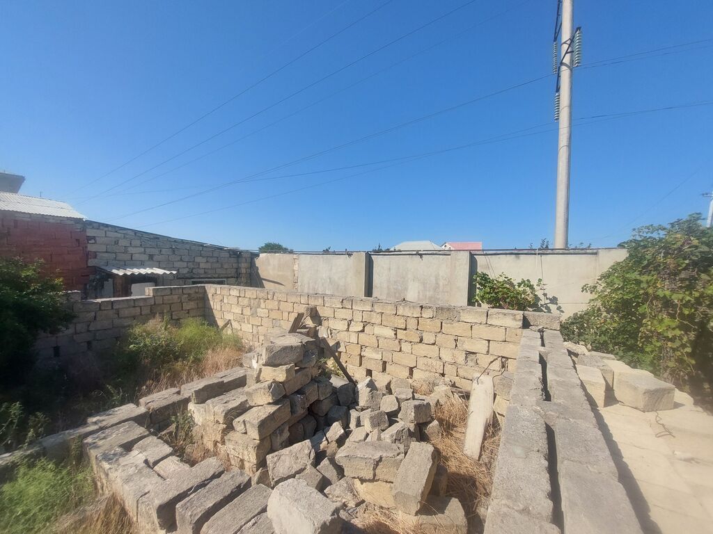 Tikinti