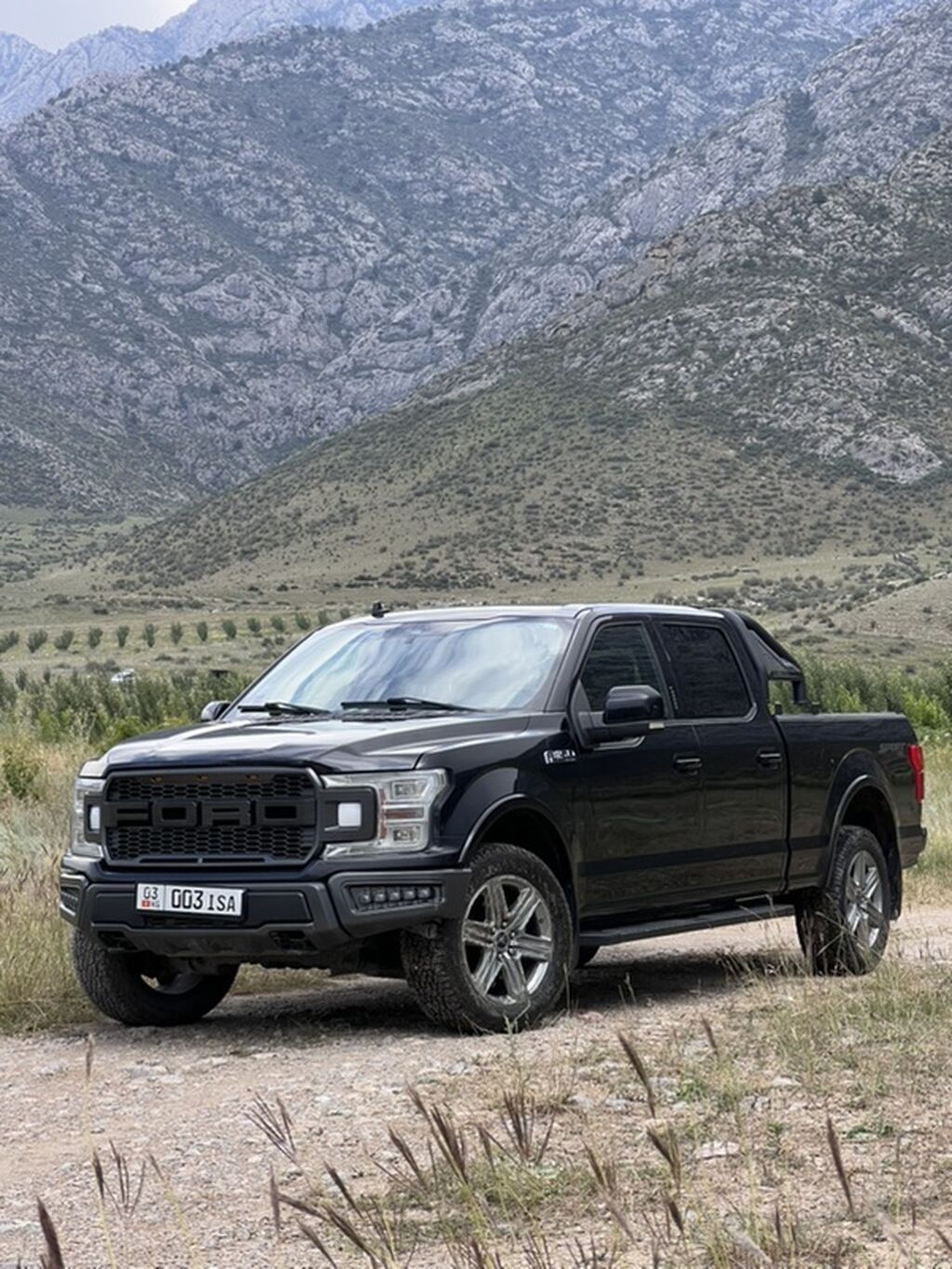 Продается пикап Ford F-150, 2019 г., 3.5 л, автомат: фото 1