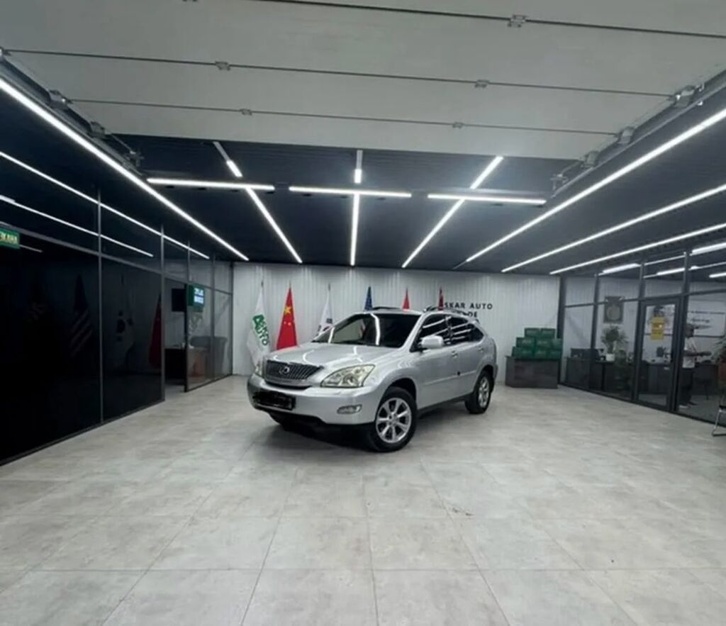 Lexus RX: 2008 г., Кроссовер: фото 7