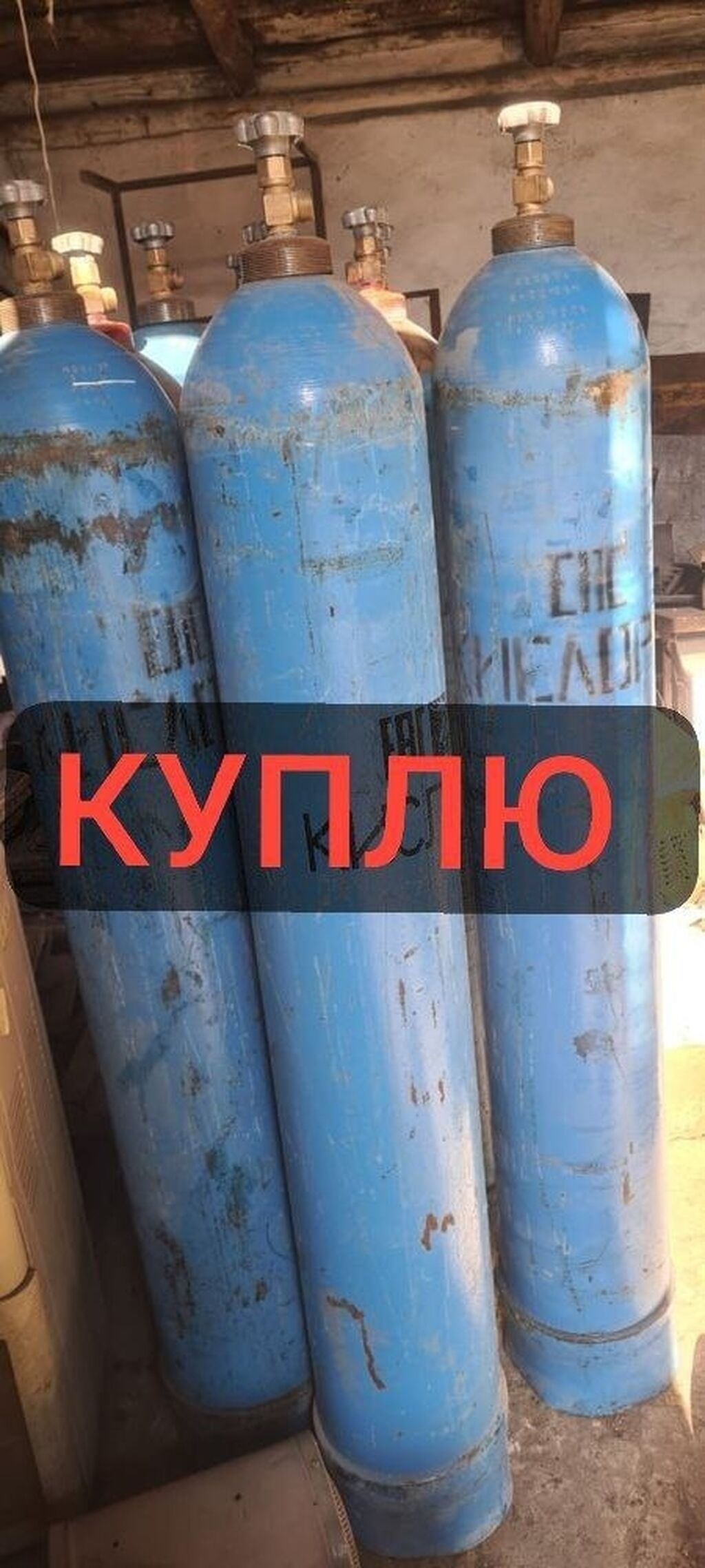 Куплю баллоны кислородный азот аргонный углекислый: Договорная ➤ Газовые  баллоны | Бишкек | 45521717 ᐈ lalafo.kg