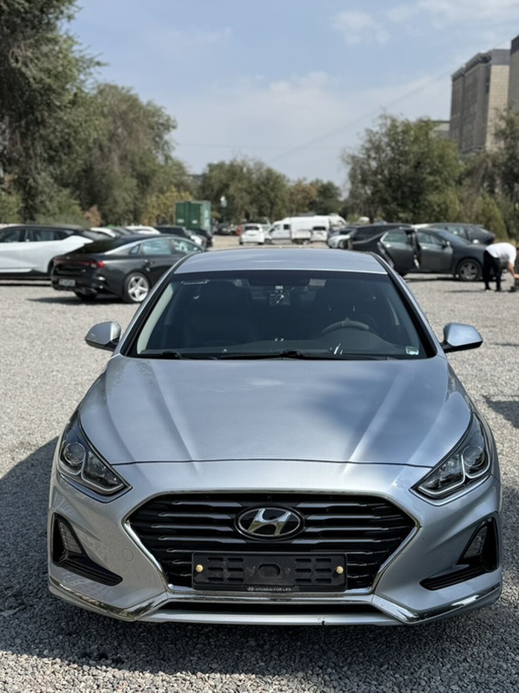 Hyundai Sonata: 2020 г., 2 л, Автомат, Газ, Седан: фото 1