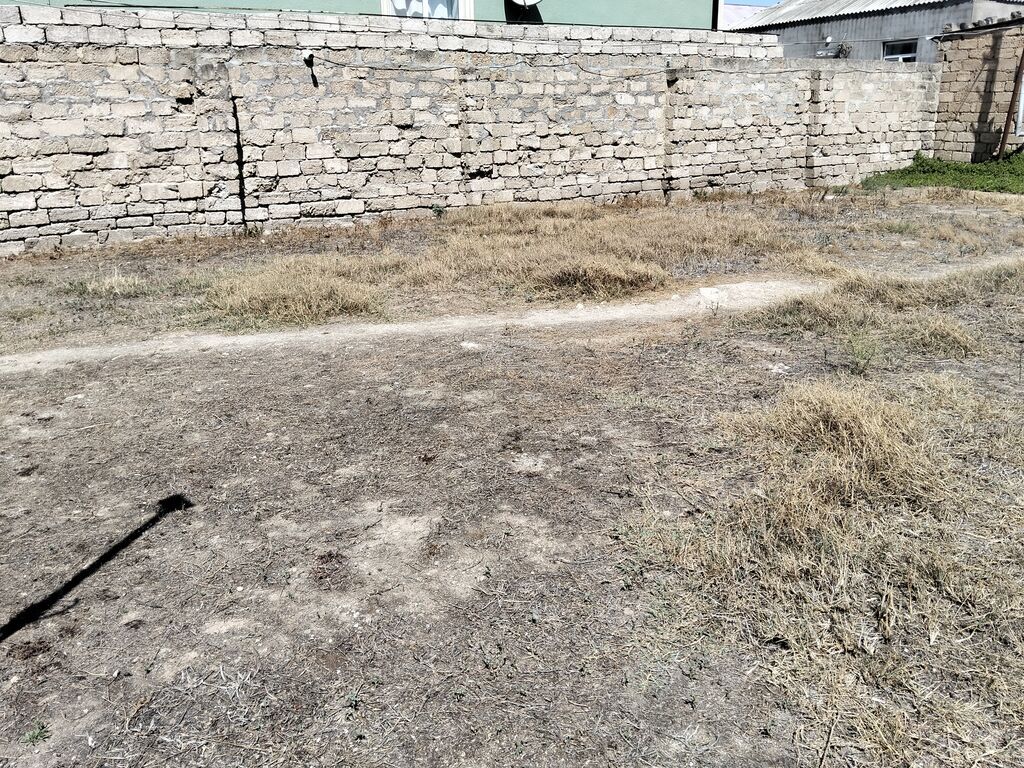 3 sot, Tikinti, Mülkiyyətçi