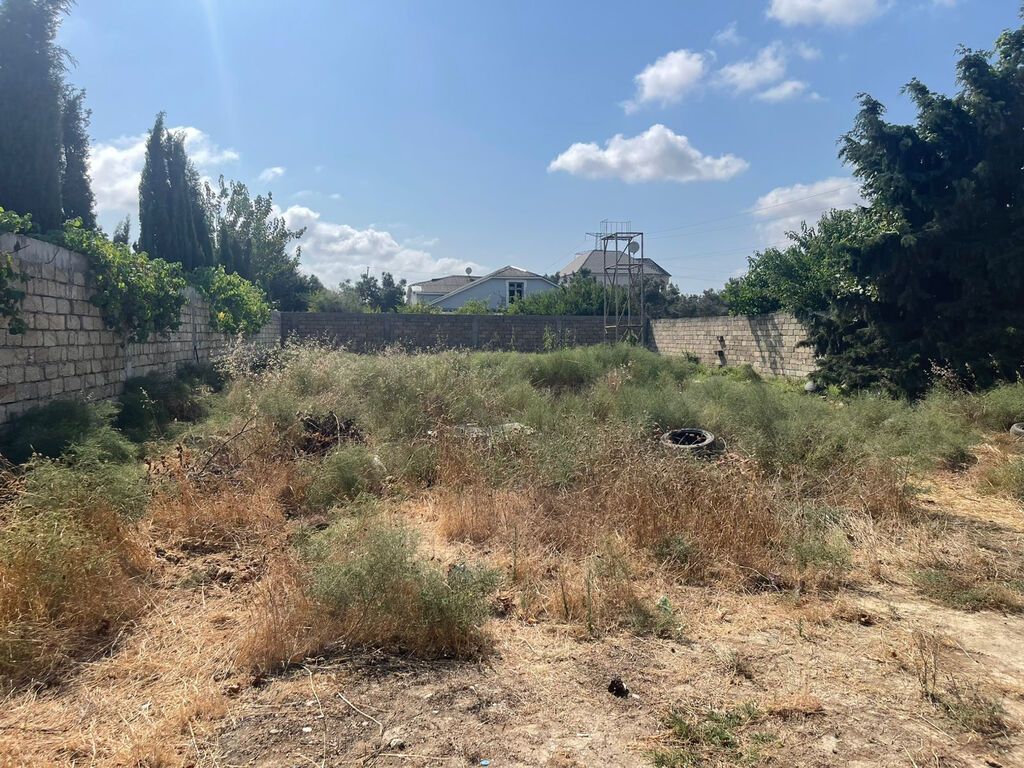 8 sot, Tikinti, Mülkiyyətçi, Kupça (Çıxarış)