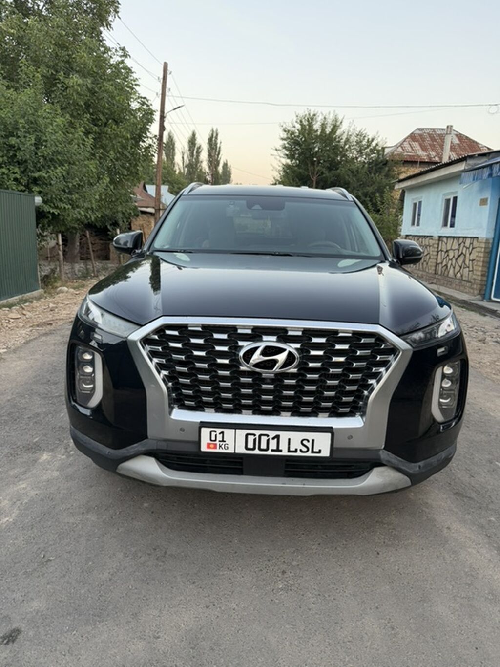 Hyundai Palisade: 2020 г., 2.2 л, Автомат, Дизель, Кроссовер: фото 3