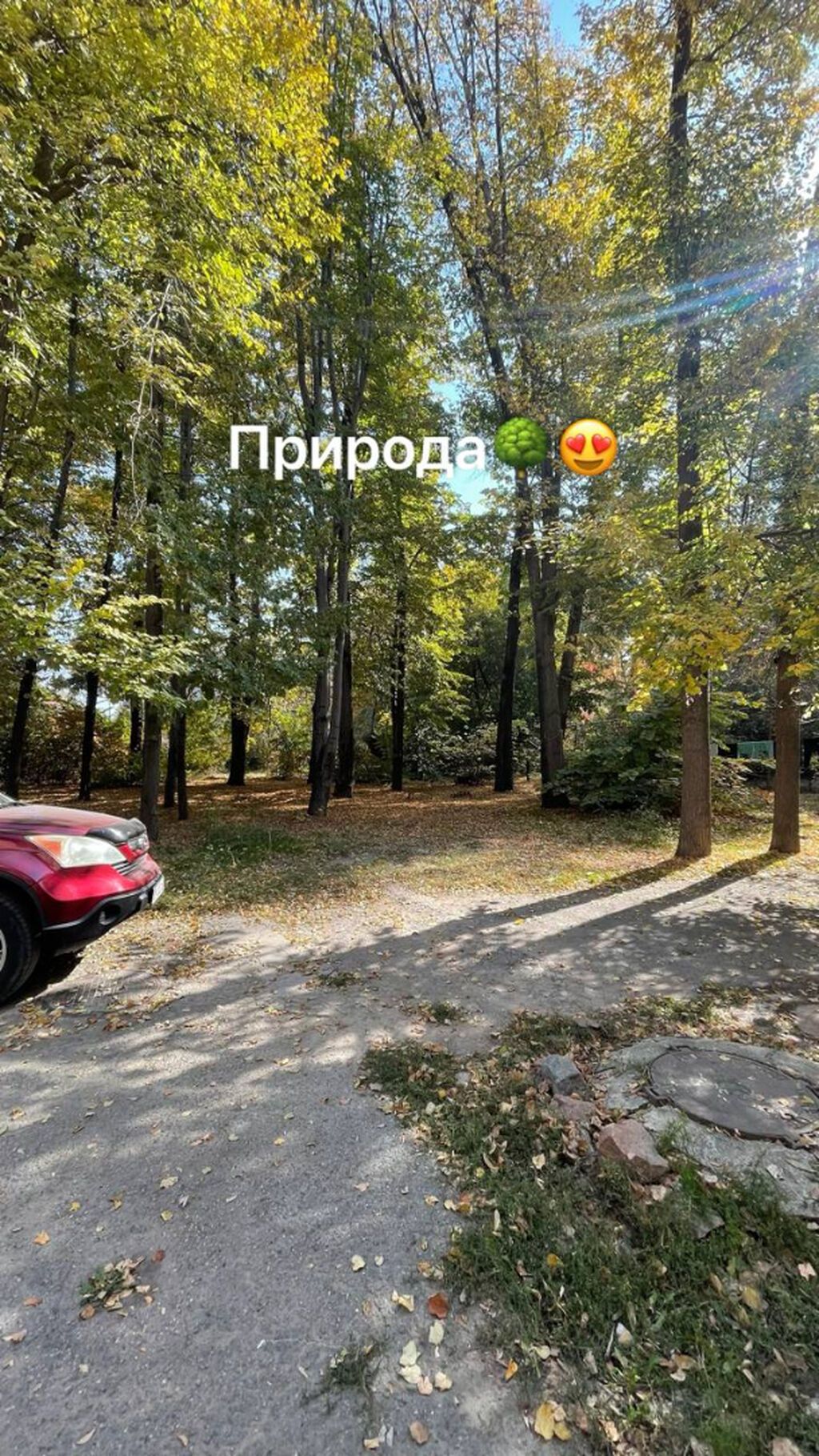 2 комнаты, 44 м², Карагачевая роща Индивидуалка, 2 этаж, Требуется ремонт: фото 5