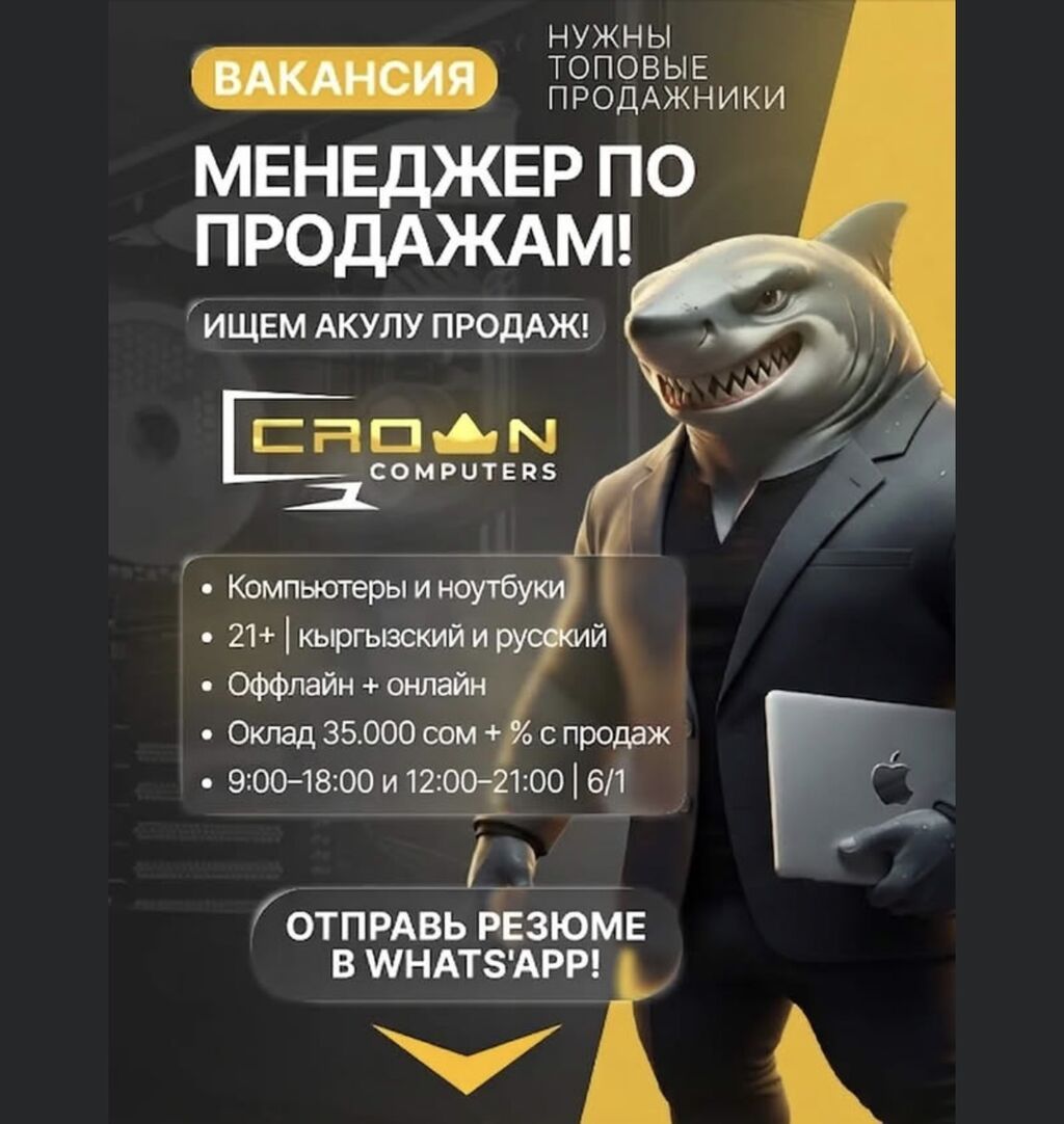 Требуется Менеджер по продажам, График: Шестидневка, Полный рабочий день, Карьерный рост