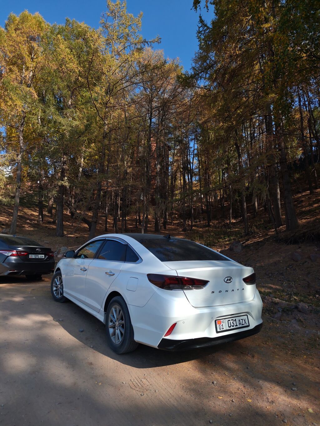 Hyundai Sonata: 2019 г., 2 л, Автомат, Бензин, Седан: фото 7