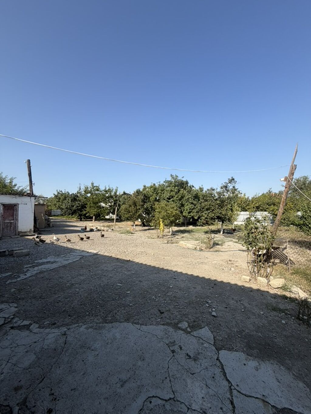 25 sot, Tikinti, Mülkiyyətçi, Kupça (Çıxarış)