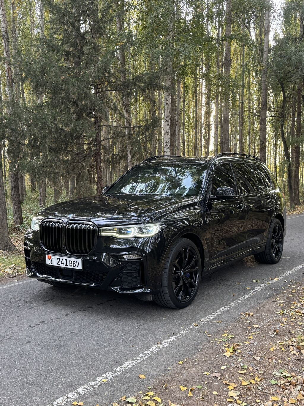 BMW X7: 2019 г., 4.4 л, Бензин, Внедорожник: фото 2