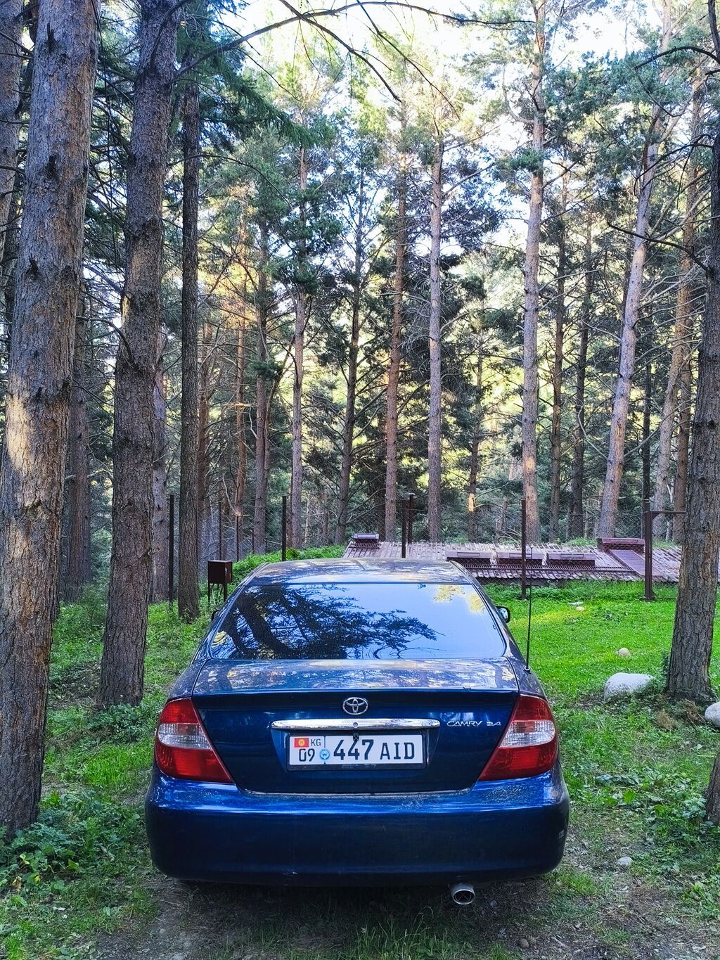 Фото 2