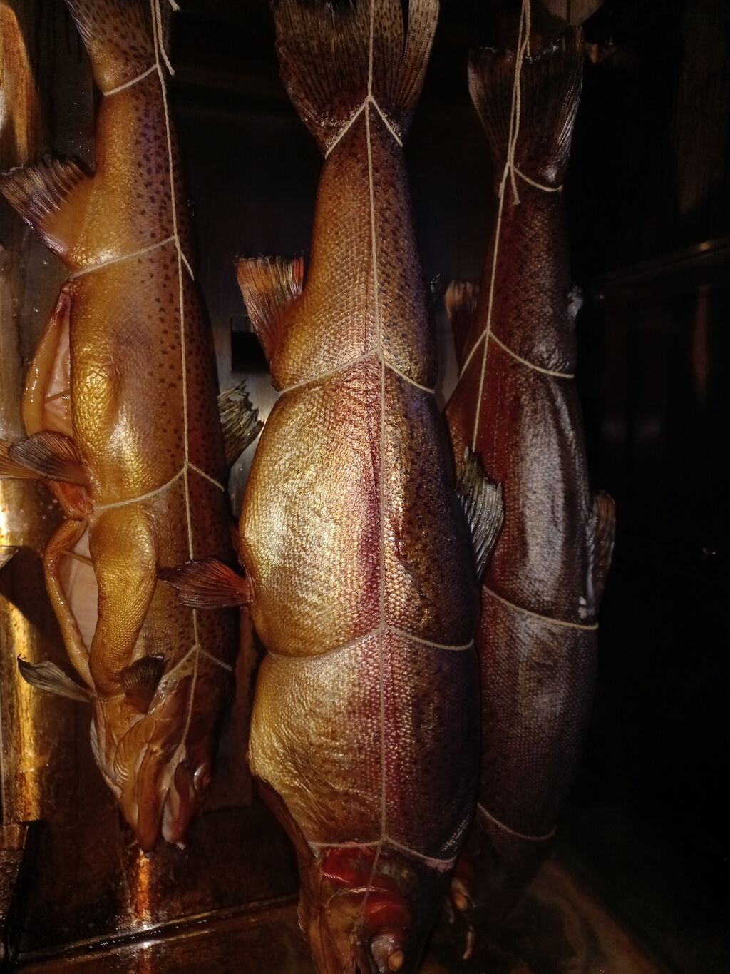 Предлагаем услуги копчения любого мяса, птицы, рыбы. Копчение по: фото 7