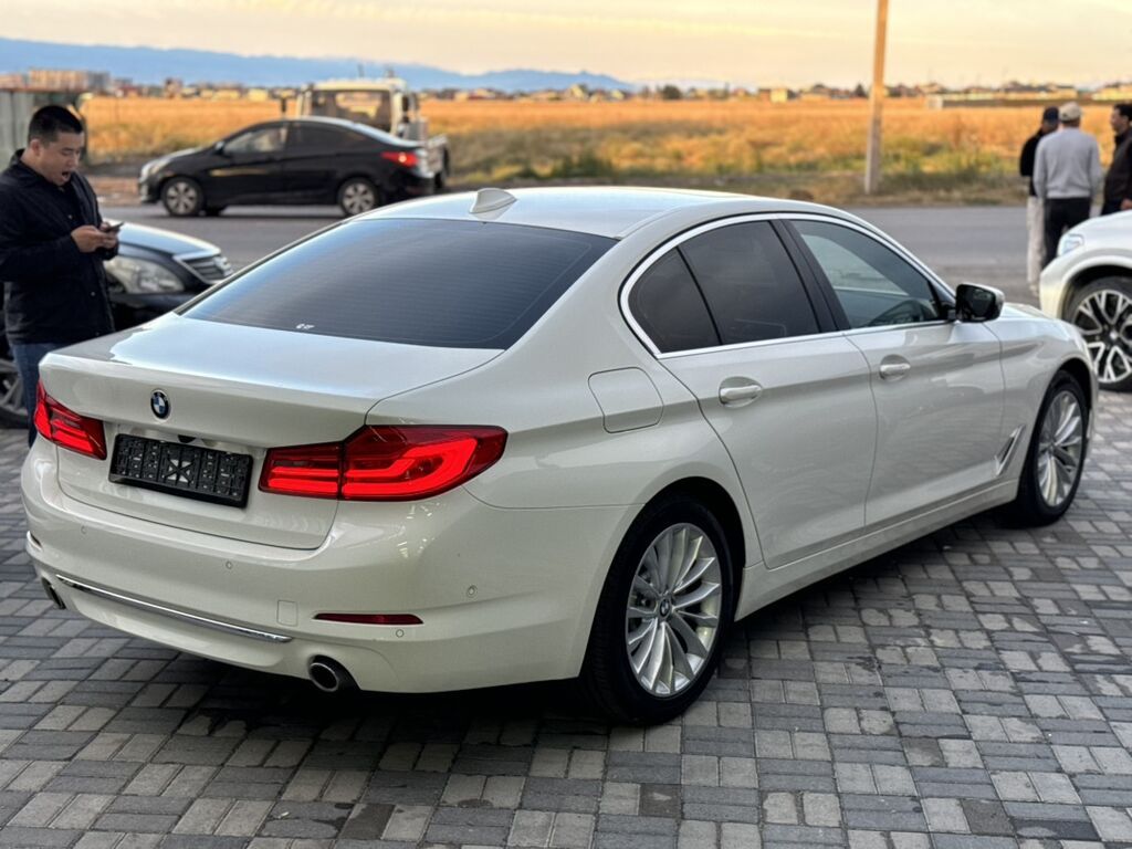 BMW 5 series: 2019 г., Автомат, Дизель, Седан: фото 8