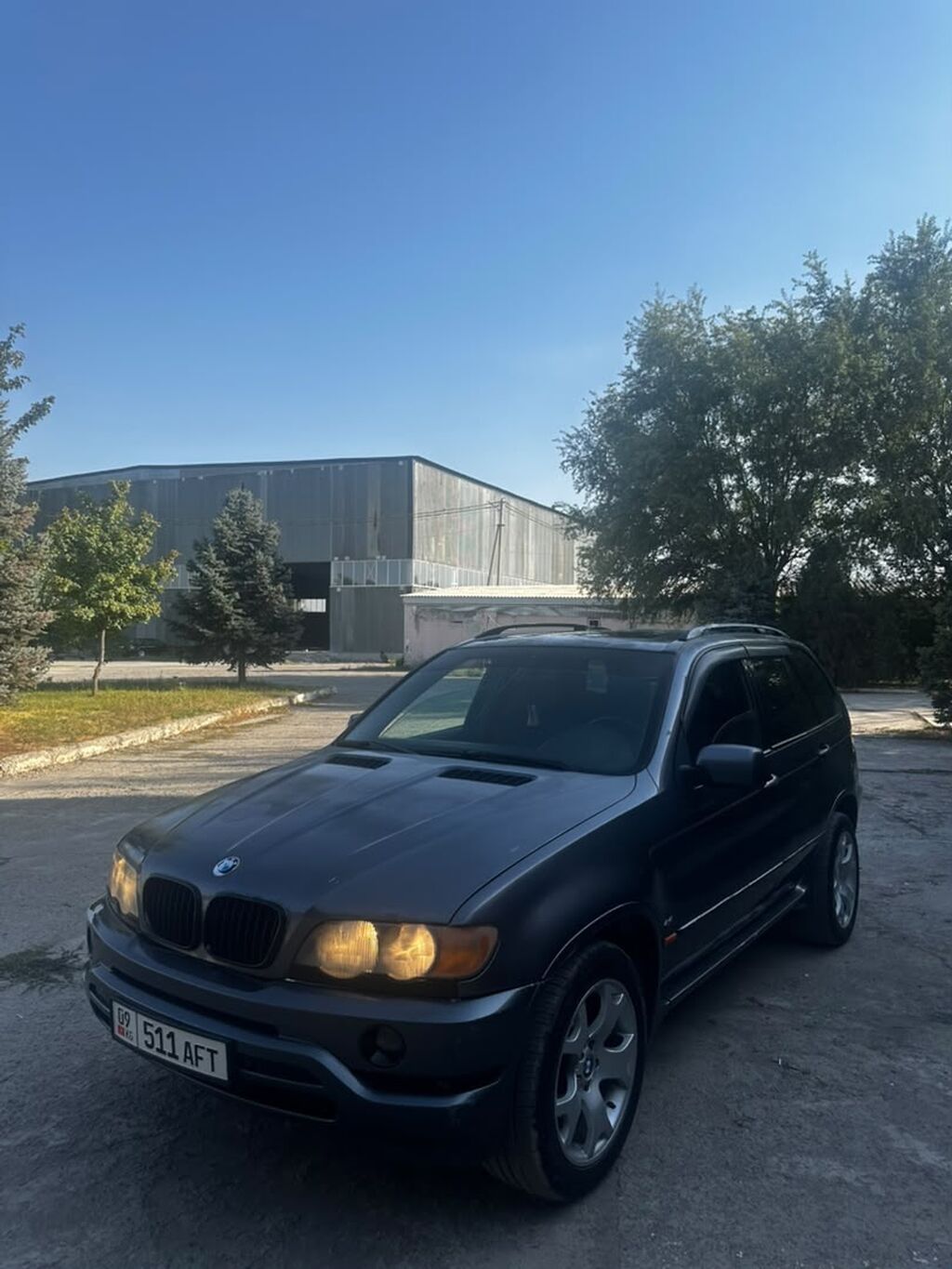 BMW X5: 2002 г., 4.4 л, Автомат, Бензин, Кроссовер: фото 6