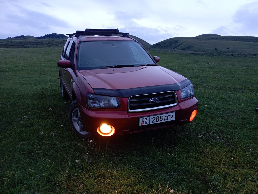 Subaru Forester: 2004 г., 2 л, Автомат, Бензин, Кроссовер: фото 1