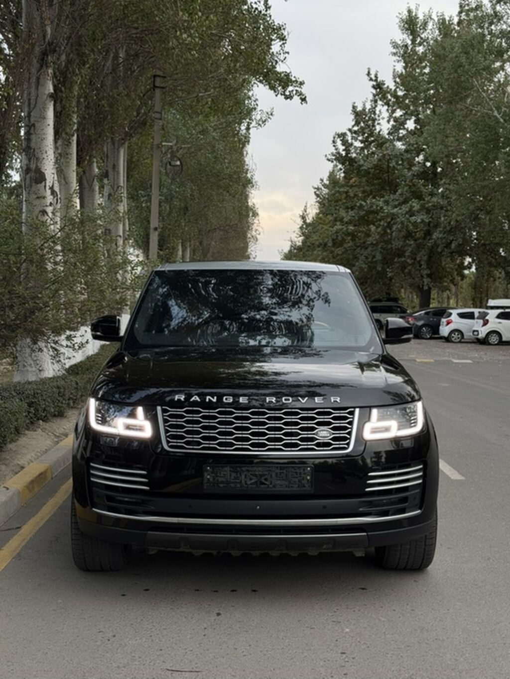 Land Rover Range Rover: 2018 г., 4.4 л, Автомат, Дизель, Внедорожник: фото 3
