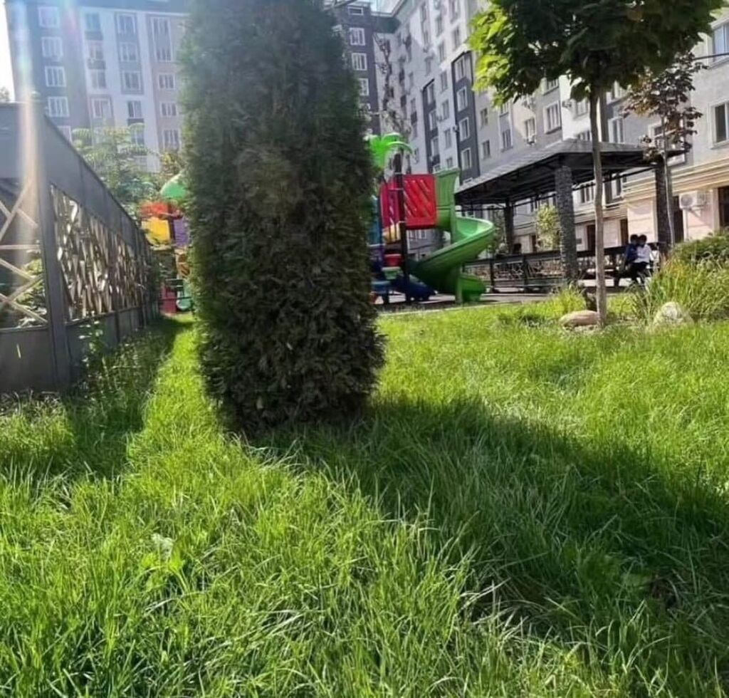 2 комнаты, 64 м², Филармония Элитка, 8 этаж, ПСО (под самоотделку): фото 8