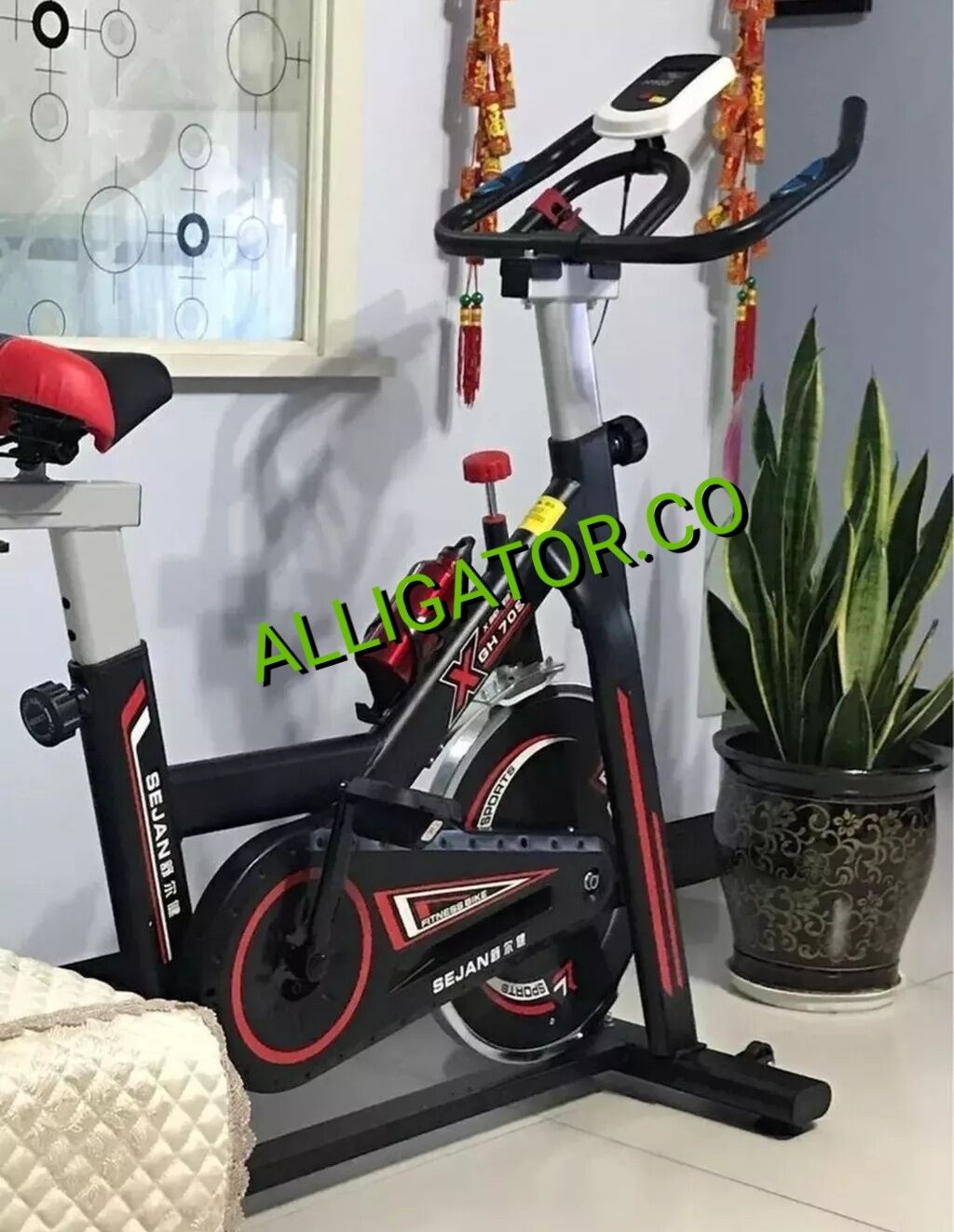 Sejan spin bike sale