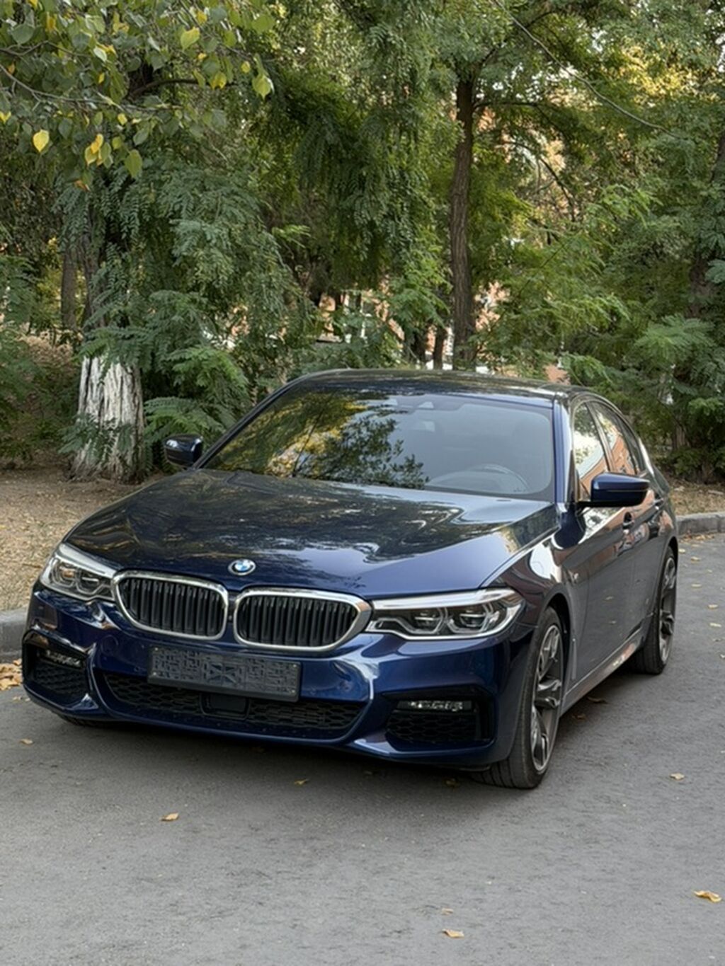 BMW 5 series: 2019 г., 2 л, Автомат, Дизель, Седан: фото 3