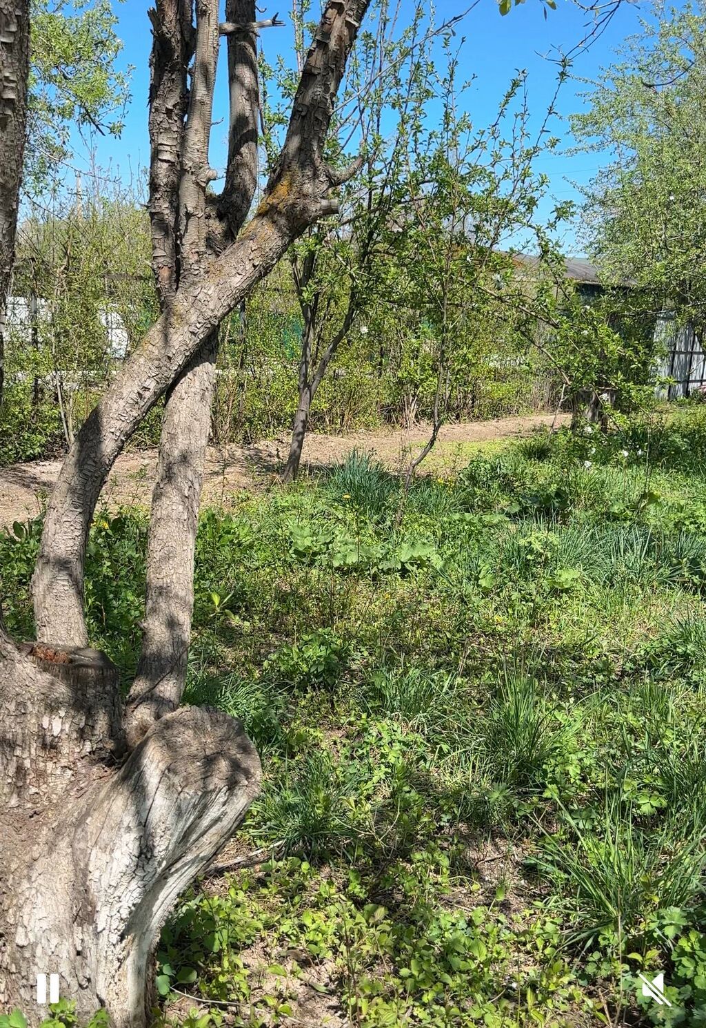5 соток, Для бизнеса, Красная книга, Тех паспорт, Договор купли-продажи: фото 5
